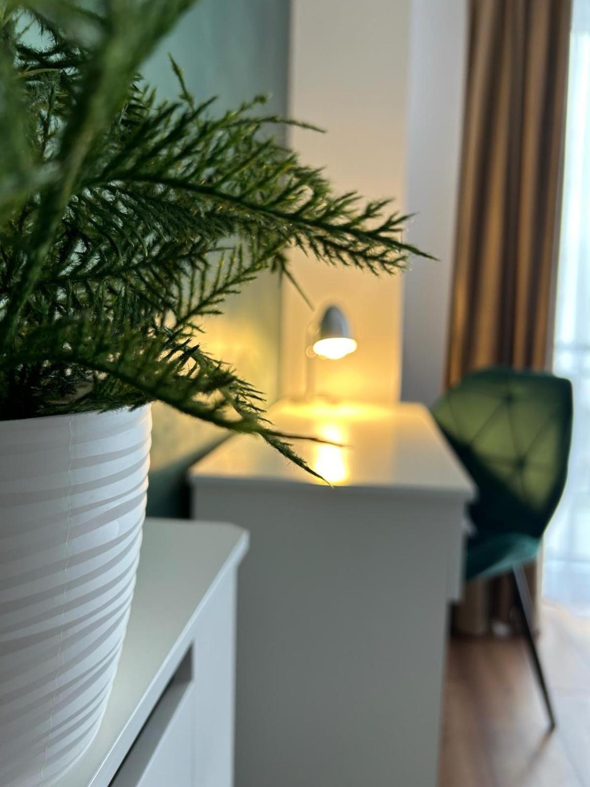 Central Cosy Apartment Клуж-Напока Екстериор снимка